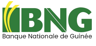 Logo Banque Nationale de Guinée